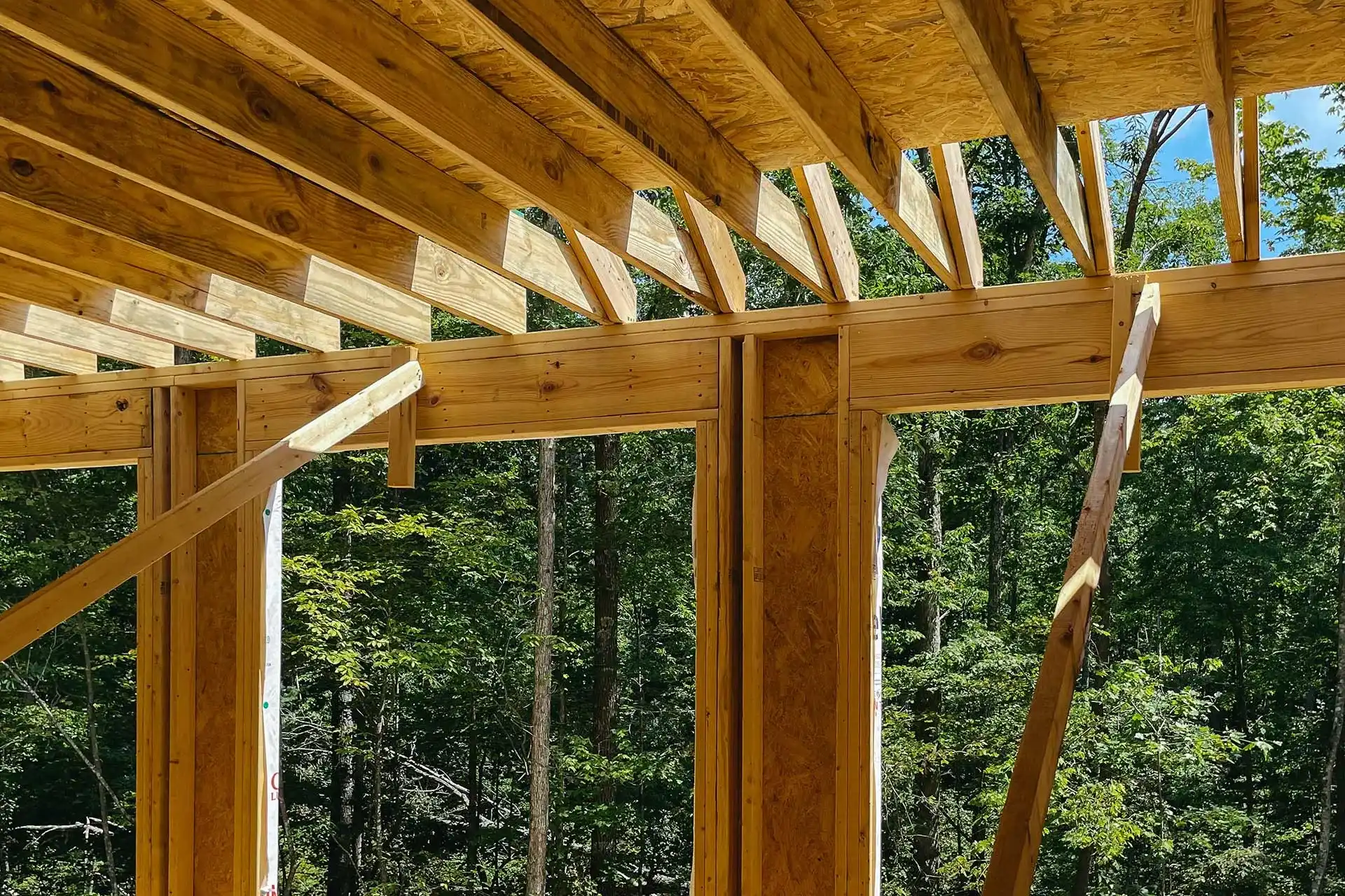 Modern Shed
